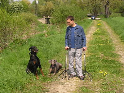 Die Huehnerhunde 