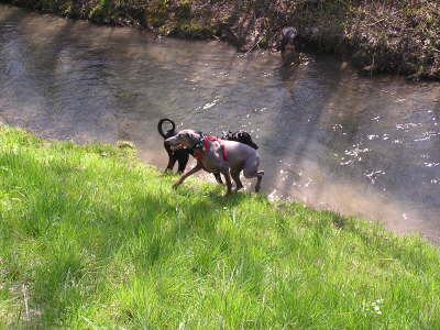 Osterspaziergang