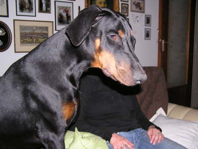 Geschwister