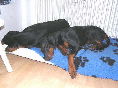 Geschwister