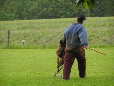 Taser - Allschwil & Niederbipp 2013